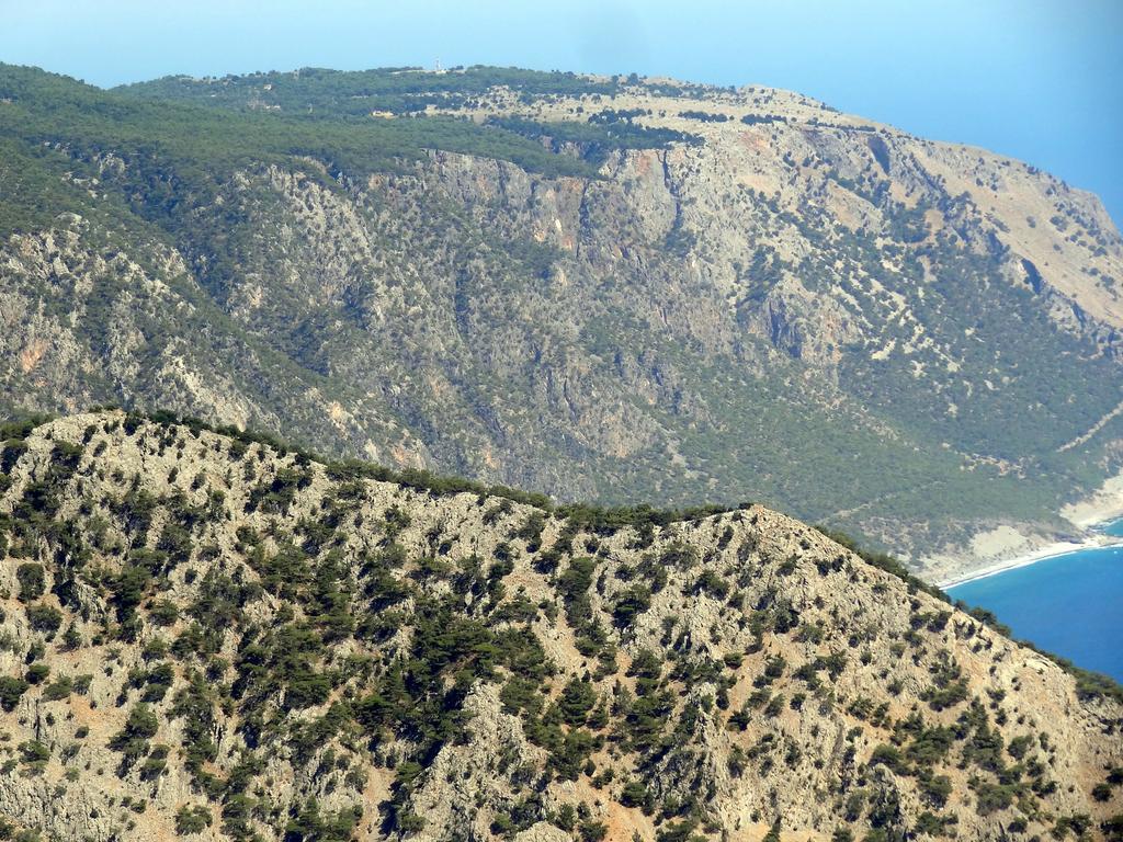 فندق Tarra أجيا روميلي المظهر الخارجي الصورة